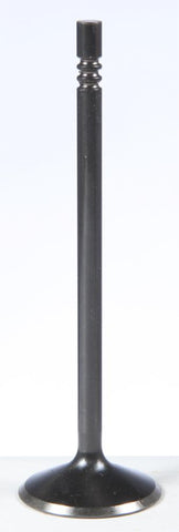 Black Diamond Intake Valve