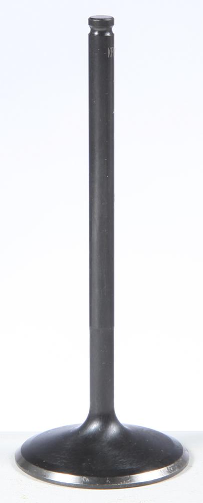 Black Diamond Intake Valve