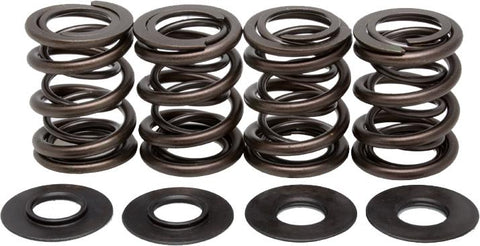 Valve Spring Kit