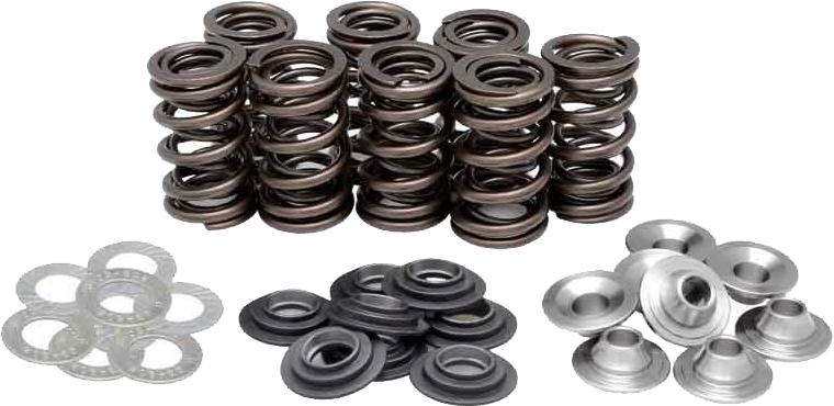 Racing Valve Spring Kit