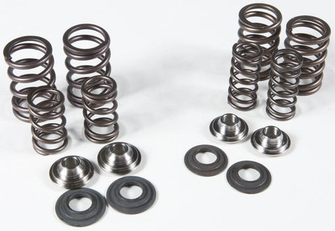 Valve Spring Kit