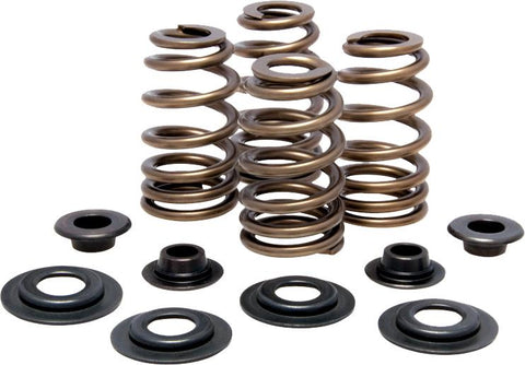 Racing Valve Spring Kit .600 Lift