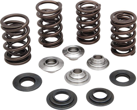 Racing Valve Spring Kit .650 Lift