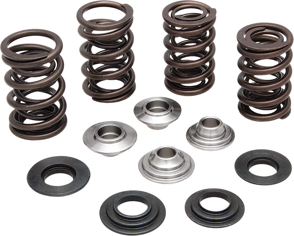 Racing Valve Spring Kit .650 Lift