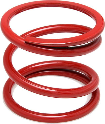 Clutch Spring
