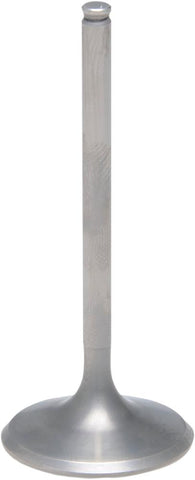 Intake Valve