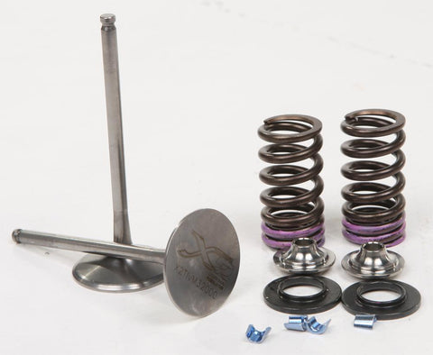 Titanium Valve Intake Kit