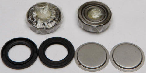 Swing Arm Bearing Kit