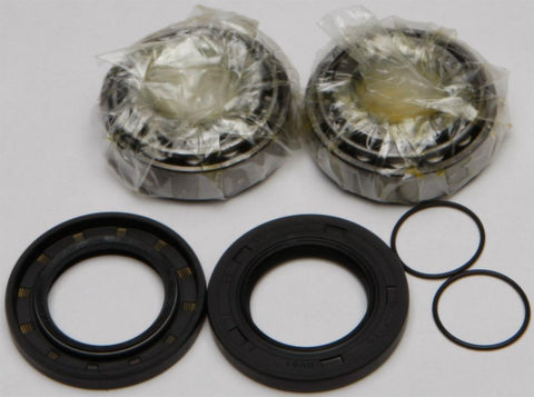 Swing Arm Bearing Kit