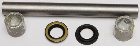 Swing Arm Bearing Kit