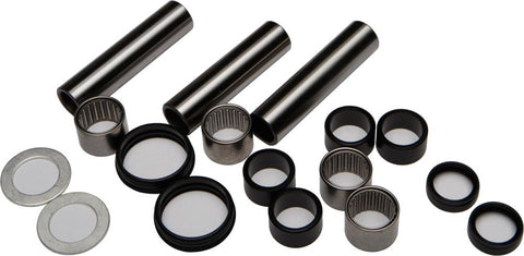 Swing Arm Bearing Kit