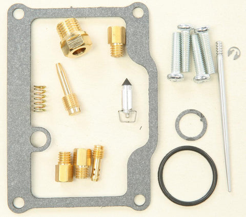 Carburetor Repair Kit