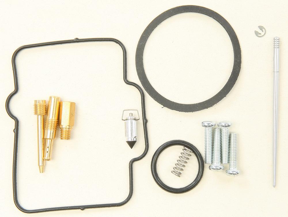 Carburetor Repair Kit