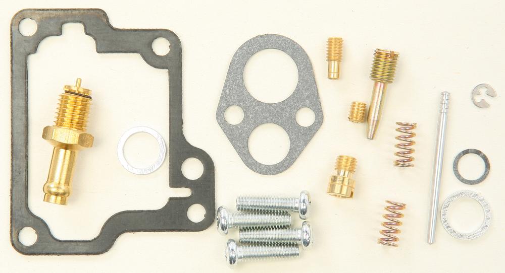 Carburetor Repair Kit