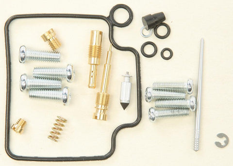 Carburetor Repair Kit