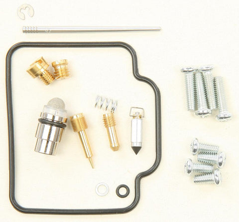 Carburetor Repair Kit