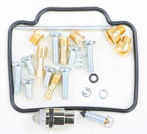 Carburetor Repair Kit