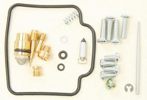 Carburetor Repair Kit