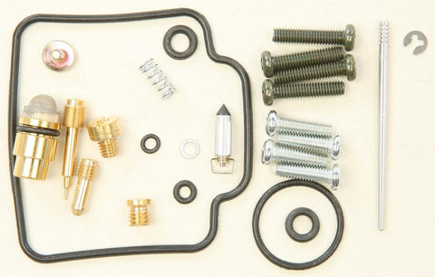 Carburetor Repair Kit
