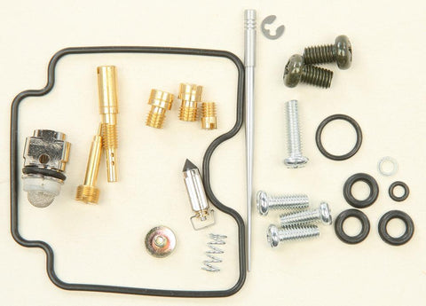 Carburetor Repair Kit