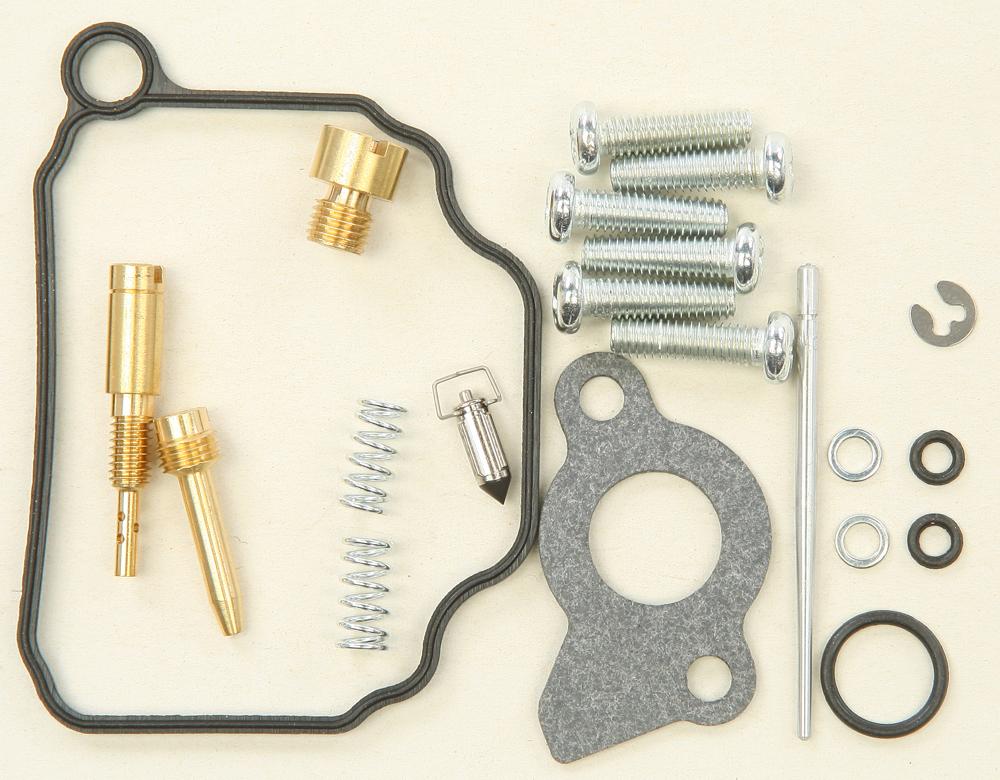 Carburetor Repair Kit