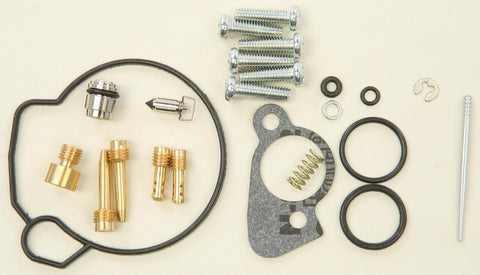 Carburetor Repair Kit