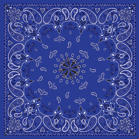 Bandanna Navy Paisley