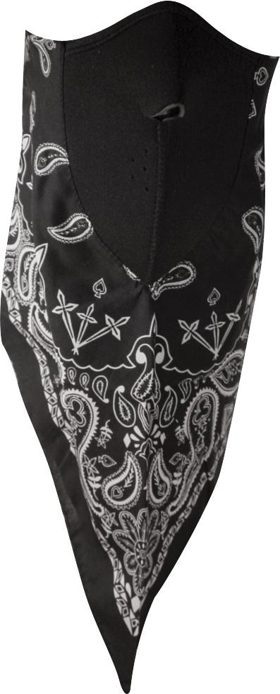 Neodanna Black Paisley