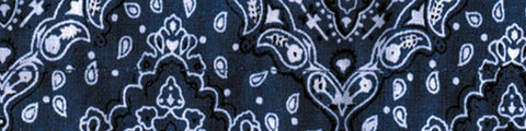 Cooldanna (paisley Navy)