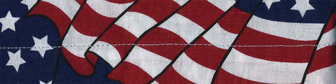 Cooldanna (wavy American Flag)