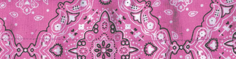 Cooldanna (pink Paisley)