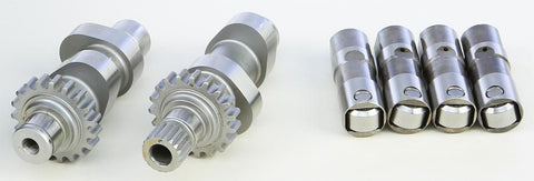 Cam And Lifter Early Twin V281hr03