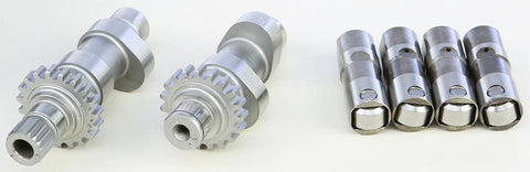 Cam And Lifter Early Twin V301hr06
