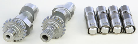 Cam And Lifter Early Twin V309hr07