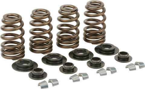 Lunati Beehive Spring Kit Up To 0.603 Life Evos