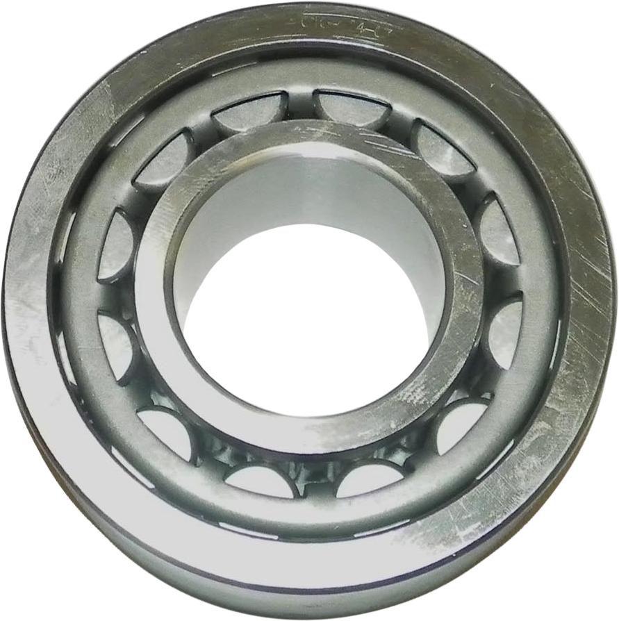 Bearing Crank Yam 1200r-1300r Mag Side