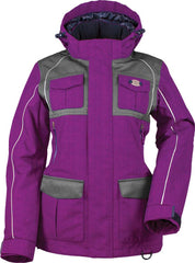 Snowmobile Accessories