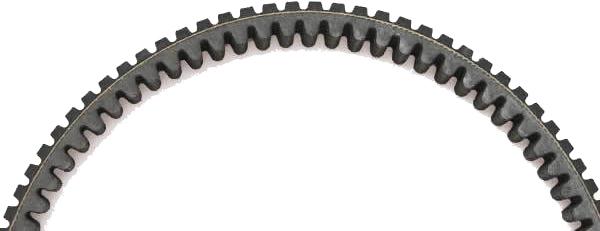 Severe Duty Belt