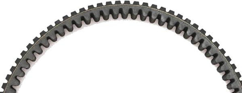Severe Duty Belt