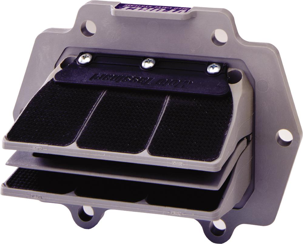 Reed Valve System
