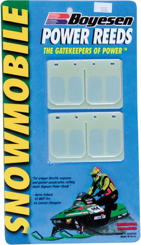 Cylinder Reeds Snowmobile
