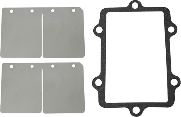 Spi Reed Valve Rep Kit A-c S-m