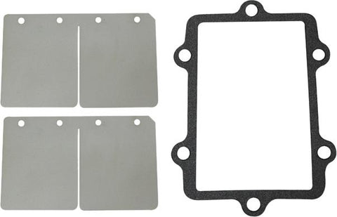 Spi Reed Valve Rep Kit A-c S-m