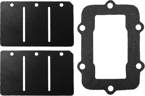 Spi Reed Valve Rep Kit S-d S-m