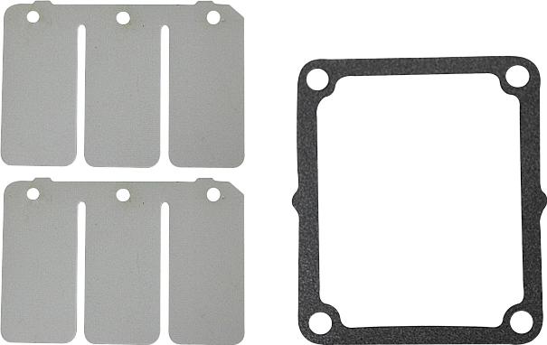 Spi Reed Valve Rep Kit Yam S-m