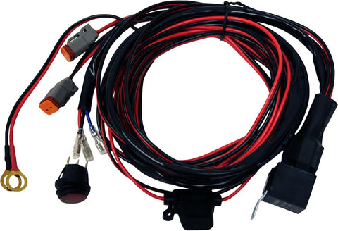 Wire Harness D2 Lights