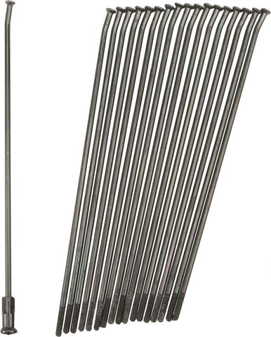 Double Butted Spokes Black-black Front 21" 36-pk