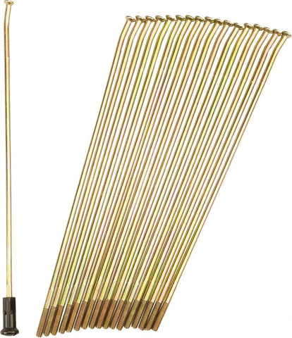 Double Butted Spokes Gold-black Front 21" 36-pk