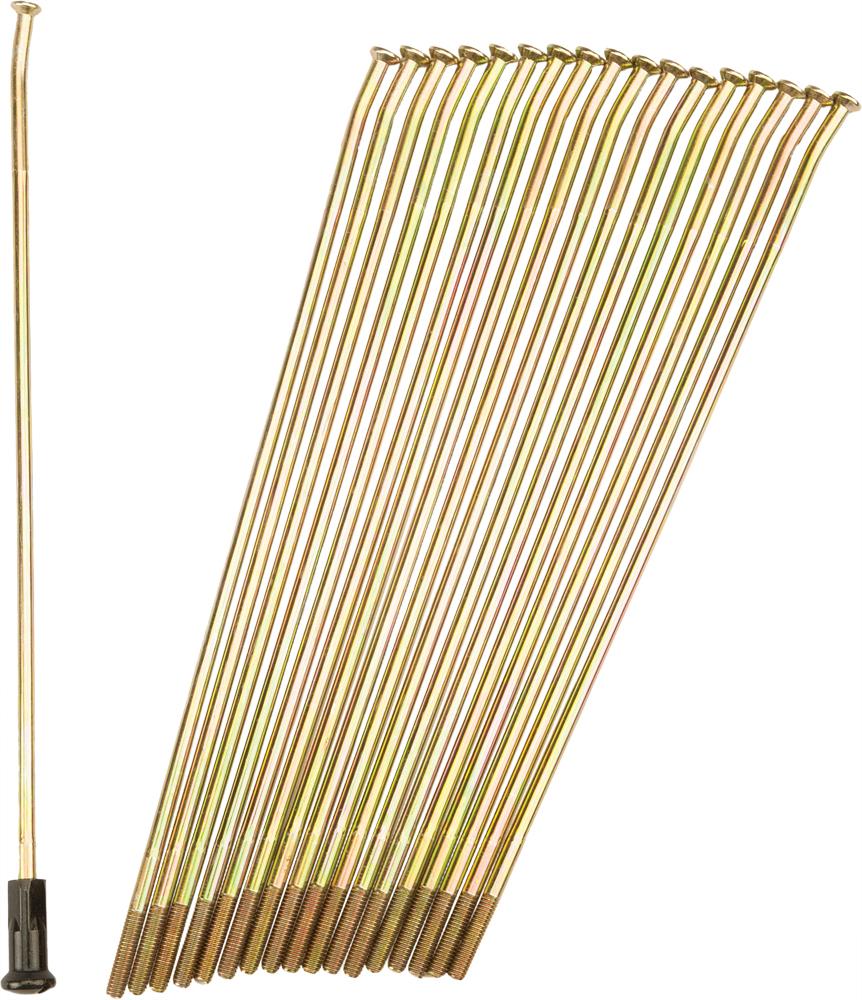 Double Butted Spokes Gold-black Front 21" 36-pk