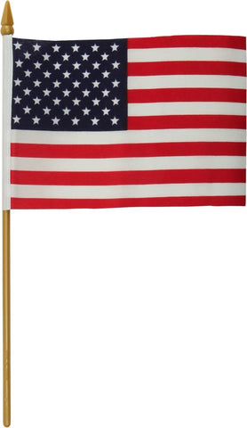Replacement Flag 4x6 No Mount